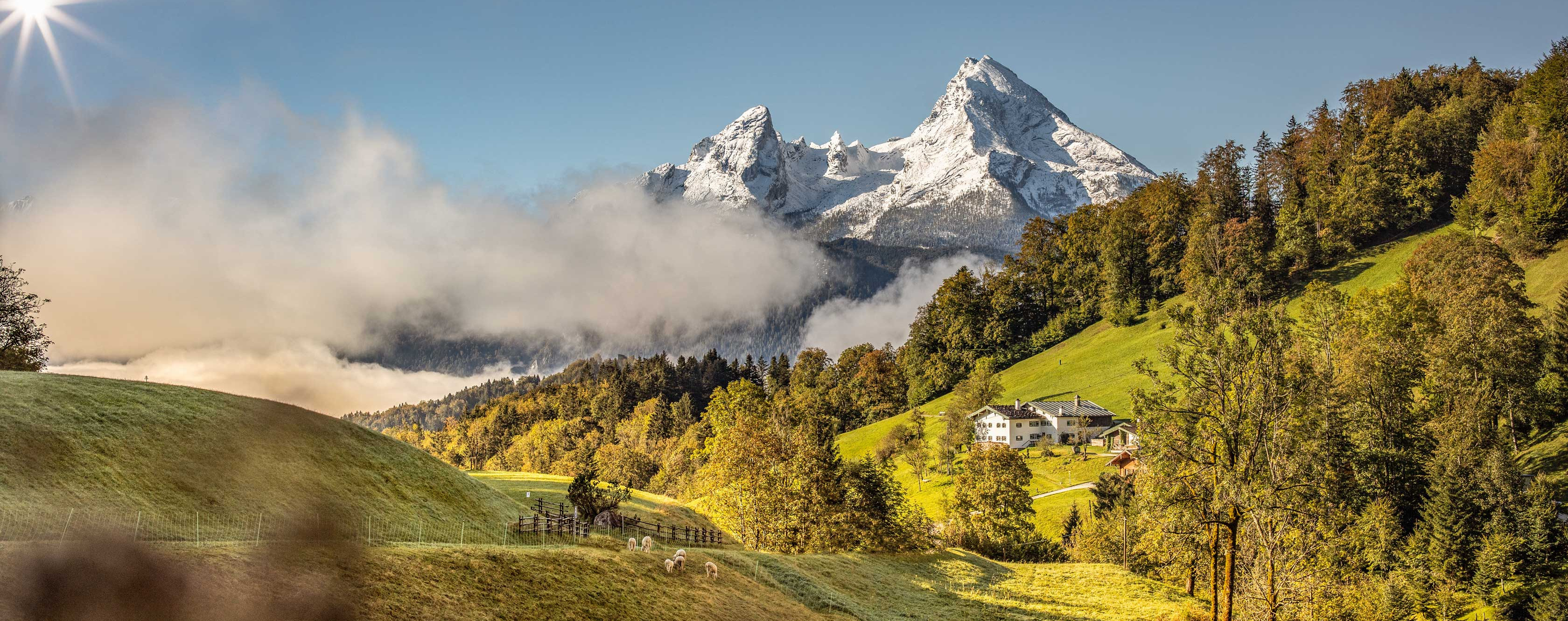 Mit Schnee bedeckte Berggipfel und grüne Hügel mit Bäumen.
